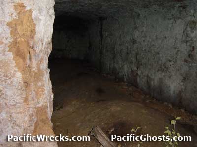 Click For Enlargement