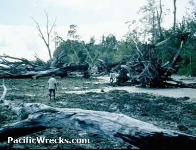 Click For Enlargement