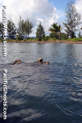 Click For Enlargement