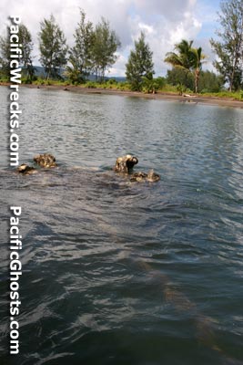 Click For Enlargement