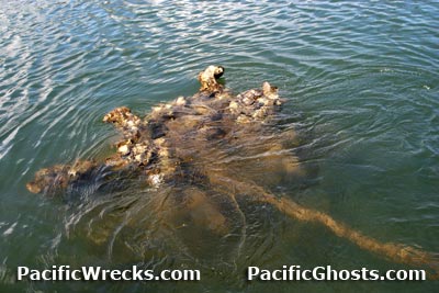 Click For Enlargement