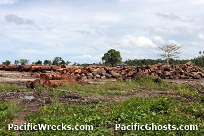 Click For Enlargement