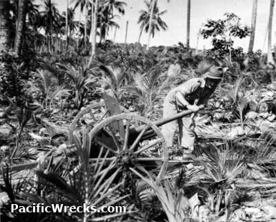 Click For Enlargement