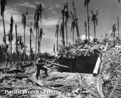 Click For Enlargement