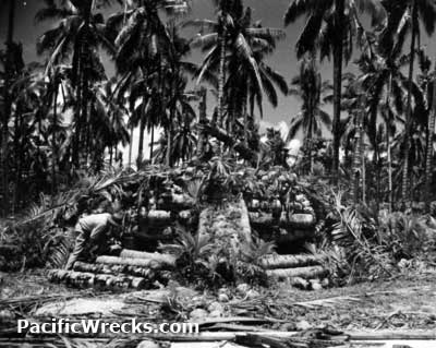 Click For Enlargement