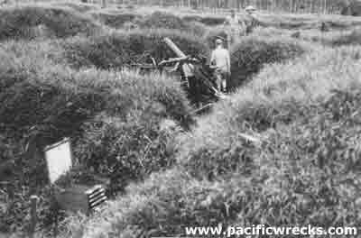 Click For Enlargement