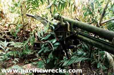 Click For Enlargement