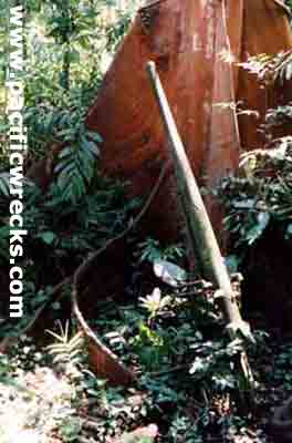 Click For Enlargement