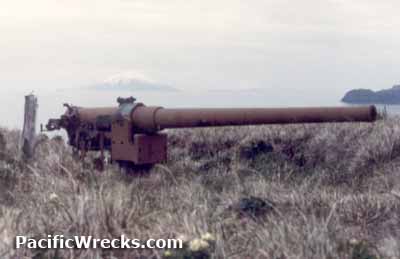 Click For Enlargement