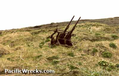 Click For Enlargement