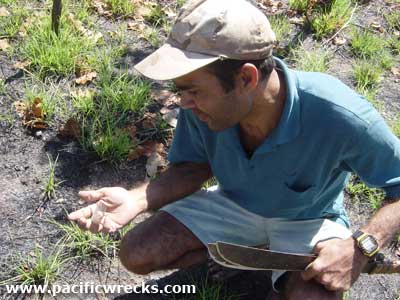 Click For Enlargement