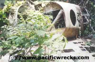 B-24 Nose