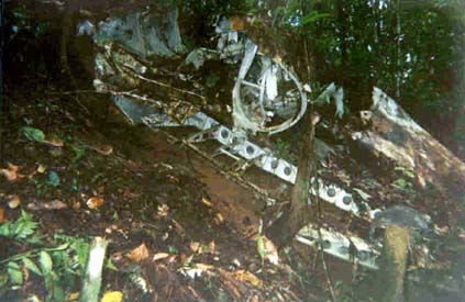 Click For Enlargement