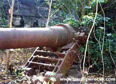 Click For Enlargment