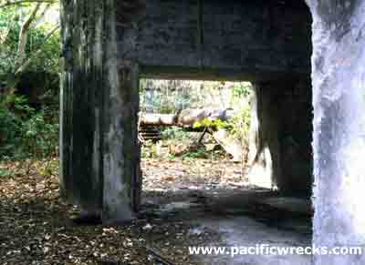 Click For Enlargment