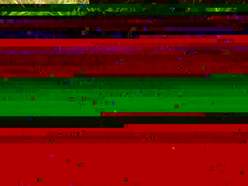 PNG 021 DUMPU Wreck Sept 2011.jpg