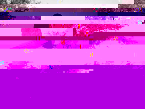 A16-97 Crs 13-08-40 Rear.JPG