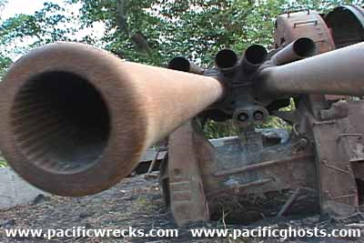 Click For Enlargement