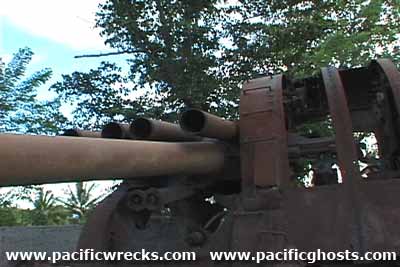 Click For Enlargement