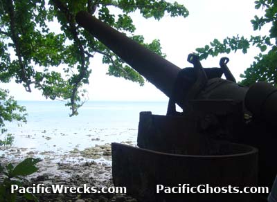 Click For Enlargement