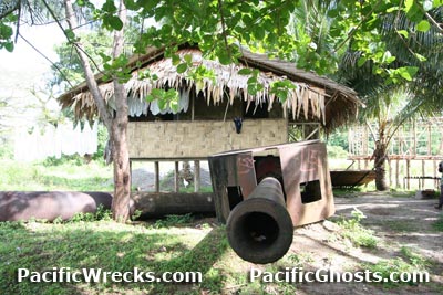 Click For Enlargement