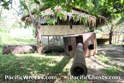 Click For Enlargement