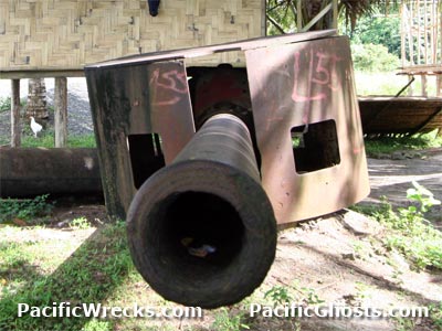 Click For Enlargement