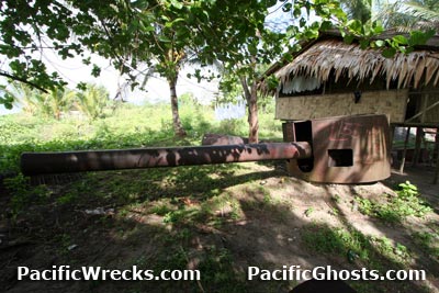 Click For Enlargement