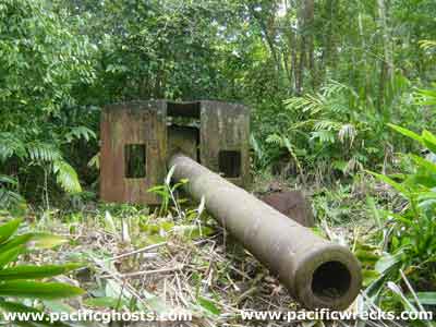 Click For Enlargement