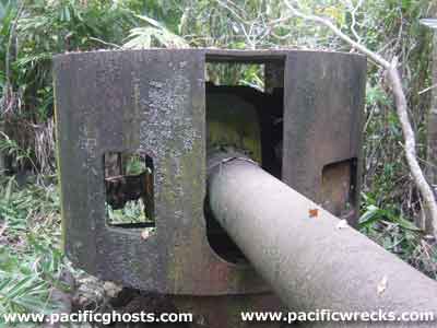 Click For Enlargement