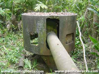 Click For Enlargement