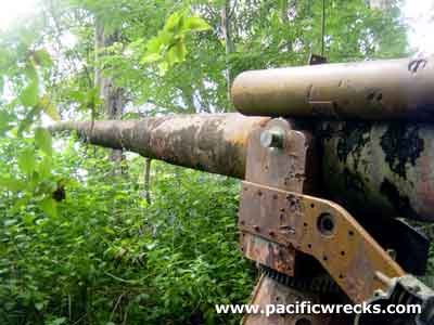 Click For Enlargement