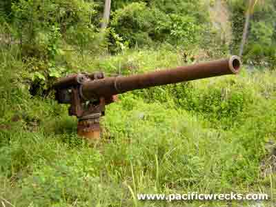 Click For Enlargement