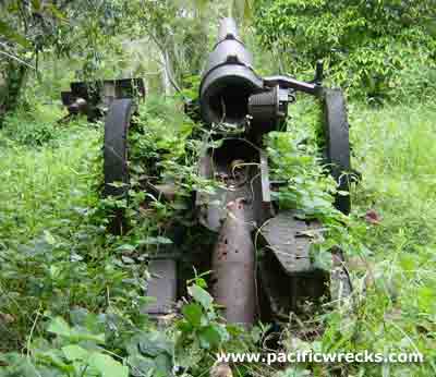 Click For Enlargement