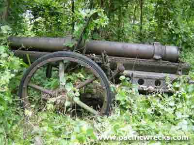 Click For Enlargement