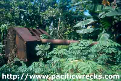 Click For Enlargement