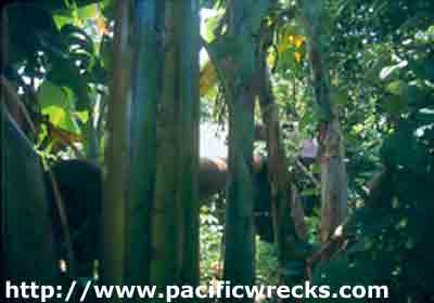 Click For Enlargement