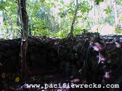 Click For Enlargement