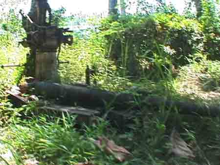 Click For Enlargement