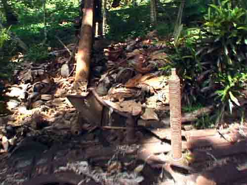 Click For Enlargement