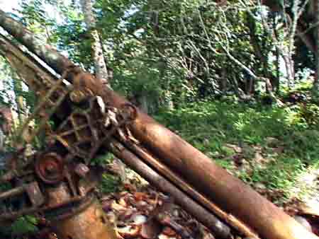 Click For Enlargement