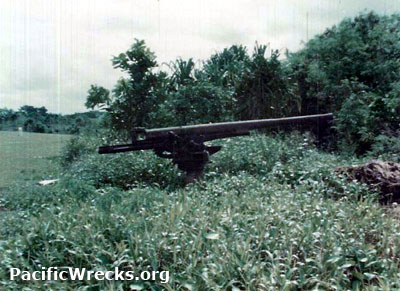 Click For Enlargement