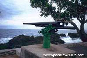 Click For Enlargement