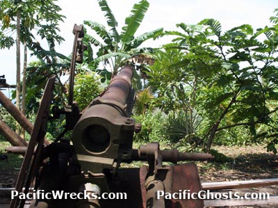 Click For Enlargement