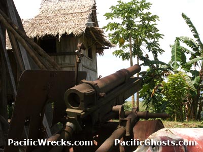 Click For Enlargement