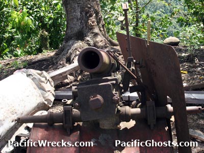 Click For Enlargement