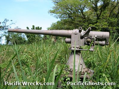 Click For Enlargement