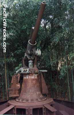 Click For Enlargement