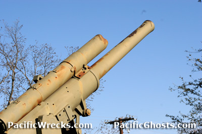 Click For Enlargement