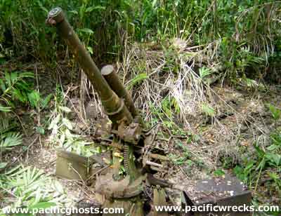 Click For Enlargement